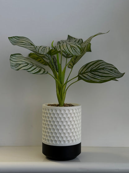 Modern Honeycomb Planter with Drip Tray