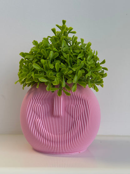 Sleepy Dude Modern Face Planter / Desk Organiser