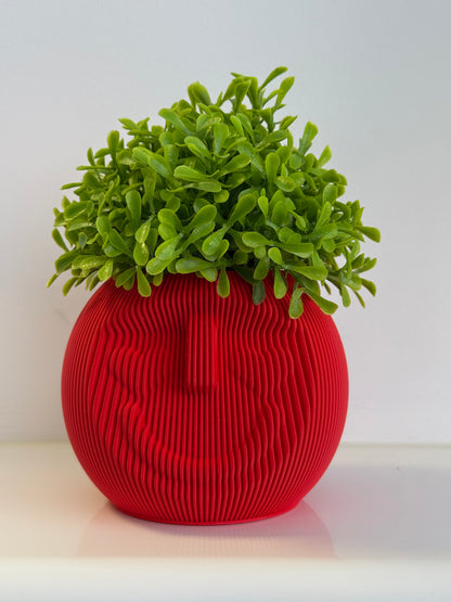 Sleepy Dude Modern Face Planter / Desk Organiser