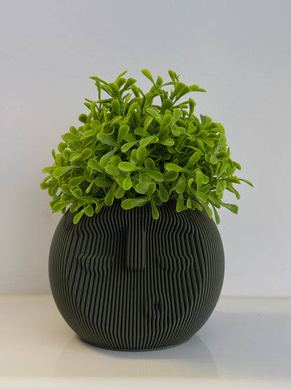 Sleepy Dude Modern Face Planter / Desk Organiser