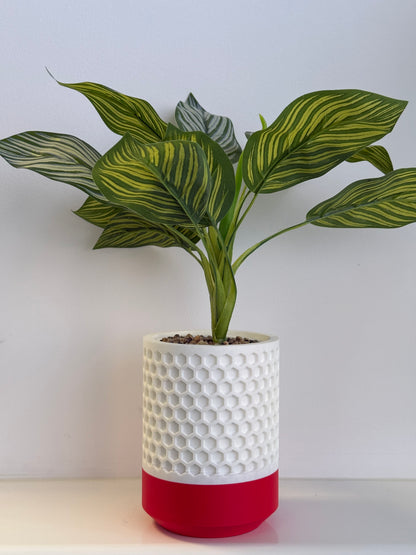 Modern Honeycomb Planter with Drip Tray